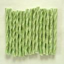 クライミング　トルネードスティック　クロロフィル