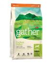 gather(ギャザー) エンドレスバレー