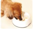 ゆっくり食べれる食器
