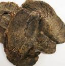 ドッグ・ツリー　自然素材シリーズ　鹿の肉　約40g