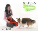 エナジーロープ