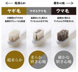 天然毛歯ブラシ　MIGAKENDE(ミガケンデ)