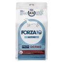 FORZA10(フォルツァ ディエチ)　デルモアクティブ