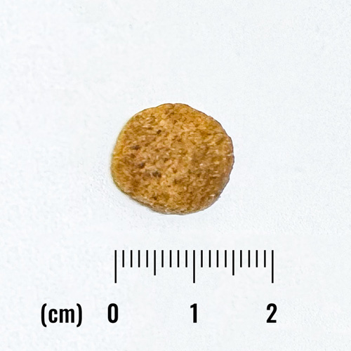 ナチュラルバランス　LID　成犬用　スウィートポテト&鹿肉レシピ 